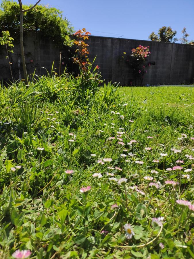 Casa Rural A Santiaga En Costa Da Morte Cabana de Bergantiños Eksteriør billede